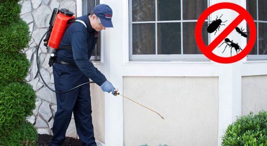 Eflani Pire İlaçlama böcek ilaçlama ve haşere kontrolü — ilaclama-tr.com